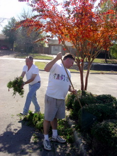 Getting rid of the yard trash