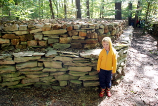 Harold's grandson & the wall